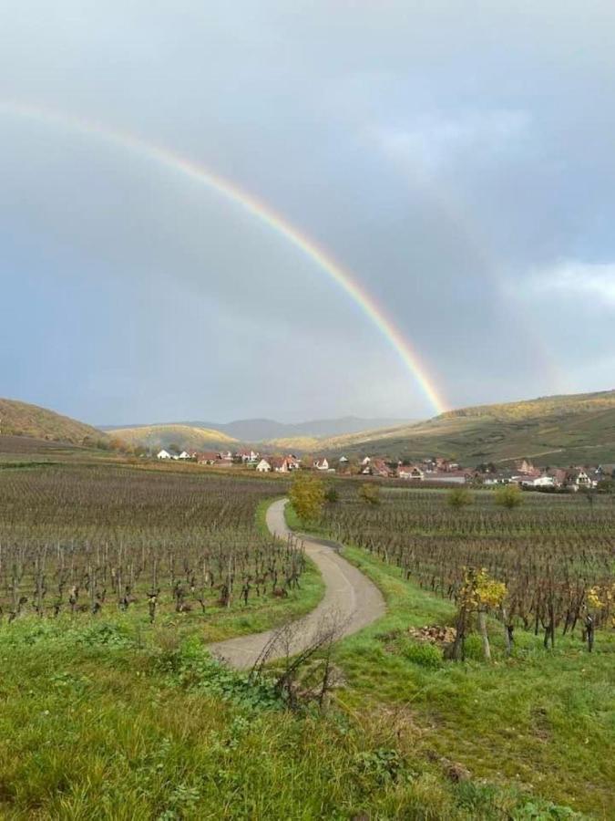 הוילה סולצמאט Un Petit Coin D'Alsace מראה חיצוני תמונה